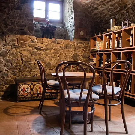 U Cerneho Kocoura A Zeleneho Stromu