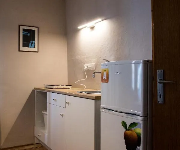 U Cerneho Kocoura A Zeleneho Stromu Accommodatie bij particulieren *