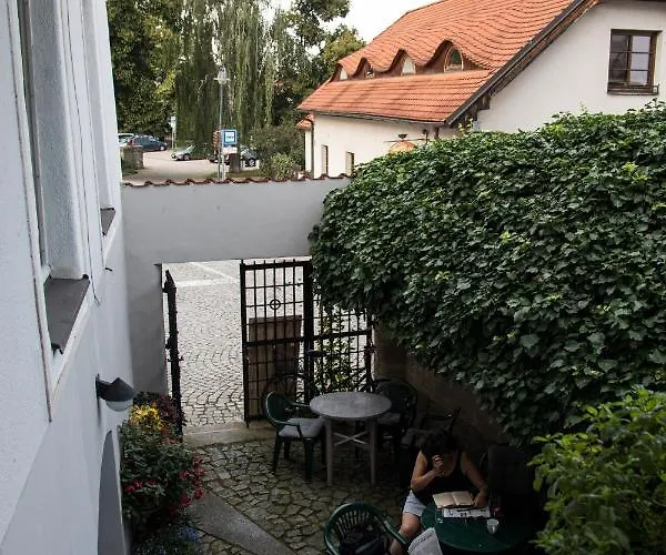 U Cerneho Kocoura A Zeleneho Stromu