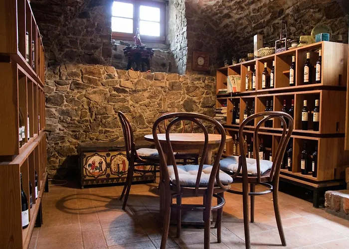 U Cerneho Kocoura A Zeleneho Stromu